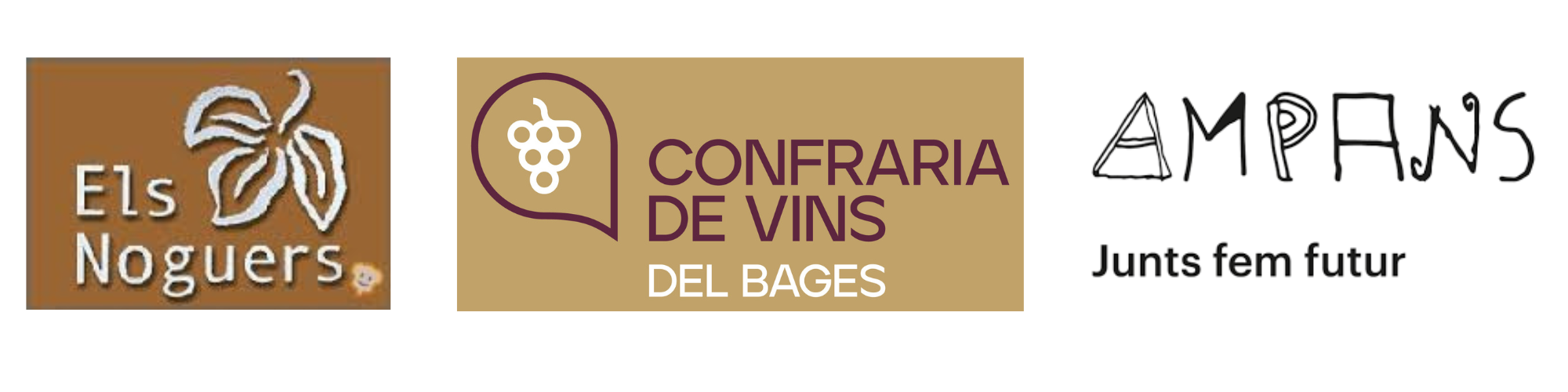 FOTOS TAST VINS TORRE LLUVIÀ GENER 2026
