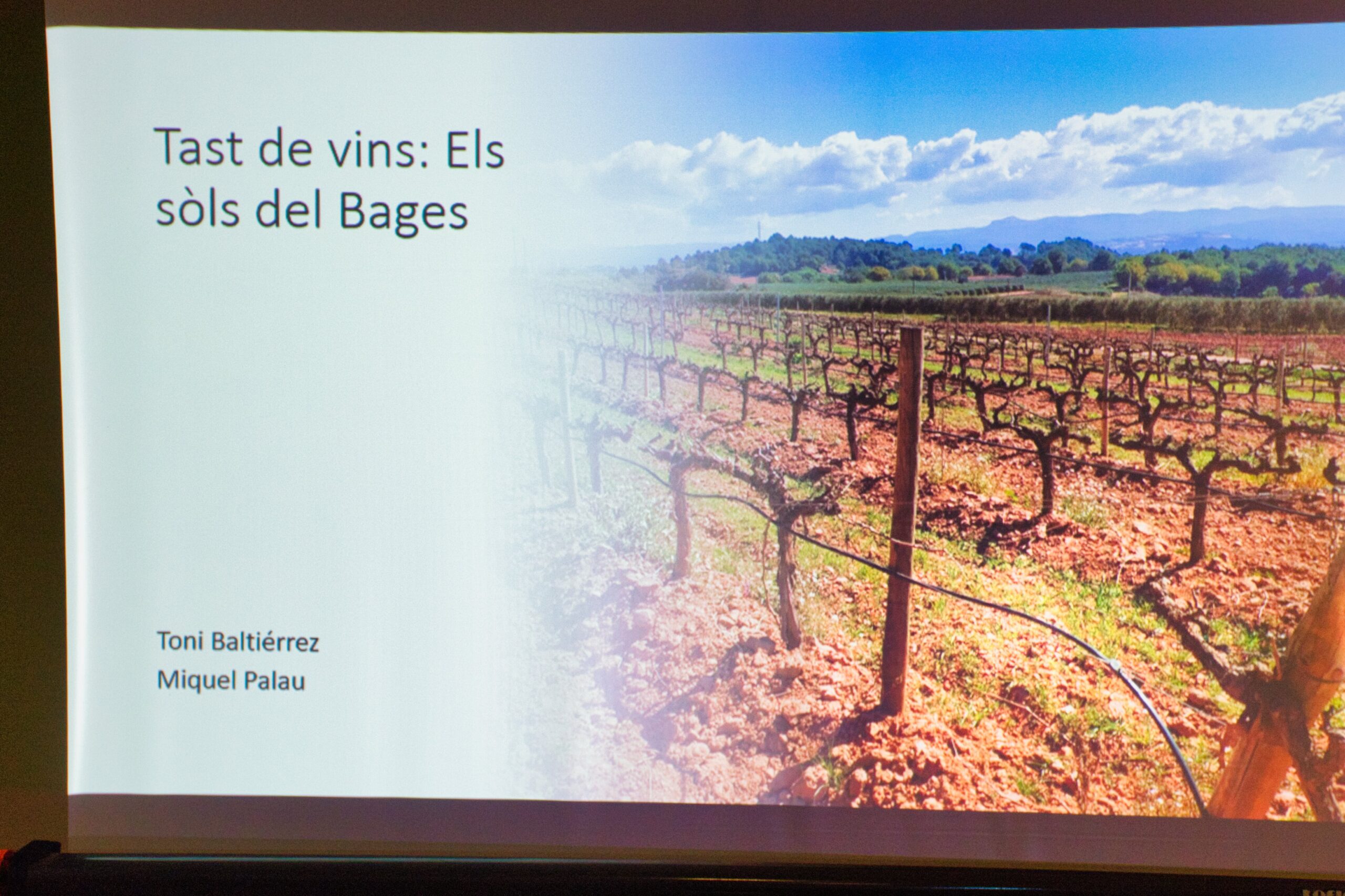 SÒLS DEL BAGES RELACIONATS AMB ELS VINS